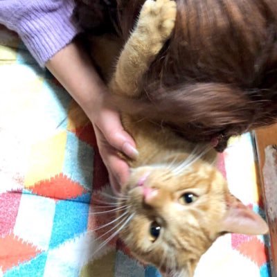 一人遊び神級ゆめこさんのプロフィール画像