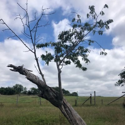 GSgeog's profile picture. Gresham’s School Geography twitter page.