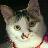 mikezby's profile image
