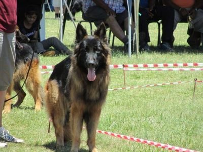 TerryMa55091216's profile picture. viruses