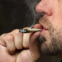 Dr Dream (@drdream420) 's Twitter Profile