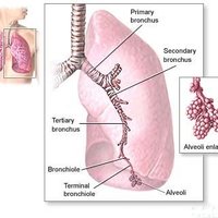 data mesothelioma(@dtmesothelioma) 's Twitter Profile Photo