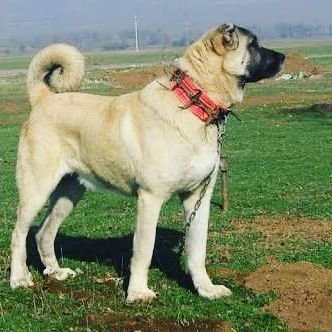 thomas_565's profile picture. maybe one day