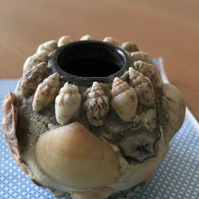 70すぎてます。捨て魔^^。動物みんな好き。
写真は、小6の時の貝殻の小瓶(無人の実家を掃除に行ったときハケーン^^)。