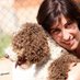 Carme Sendra / 🐾❤️ (@carmesendra) Twitter profile photo Carme Sendra / 🐾❤️ (@carmesendra) Twitter profile photo