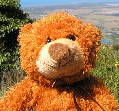 logintaken's profile picture. now also @aus.social on mastodon