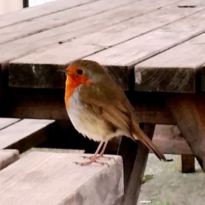 RobynHands's profile picture. I tweet