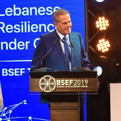 - Chairman of Malia Group S.A.L
- Chairman of Global Lebanese Investors
- Honorary Consul of the Russian Federation in Lebanon
- President of the LRBC