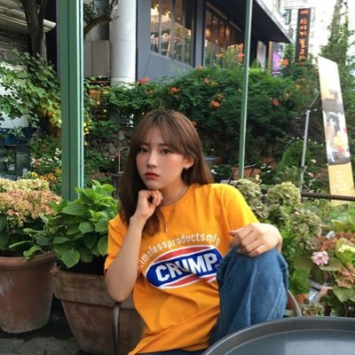 Y³|| Nus
