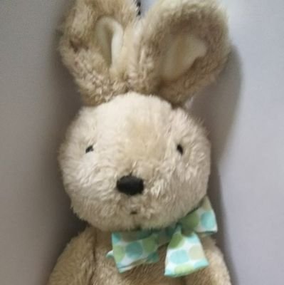 rabimariuss's profile picture. 漫画 アニメ 猫 音楽雑食 ライブ 映画 パズル ハッブルな宇宙  のんびりなひと時 
写真撮影  父の介護で時々へたる
ドラムはやめられない　バンドやってます
シロフォン(@sirofonnn123)　T.A.T.