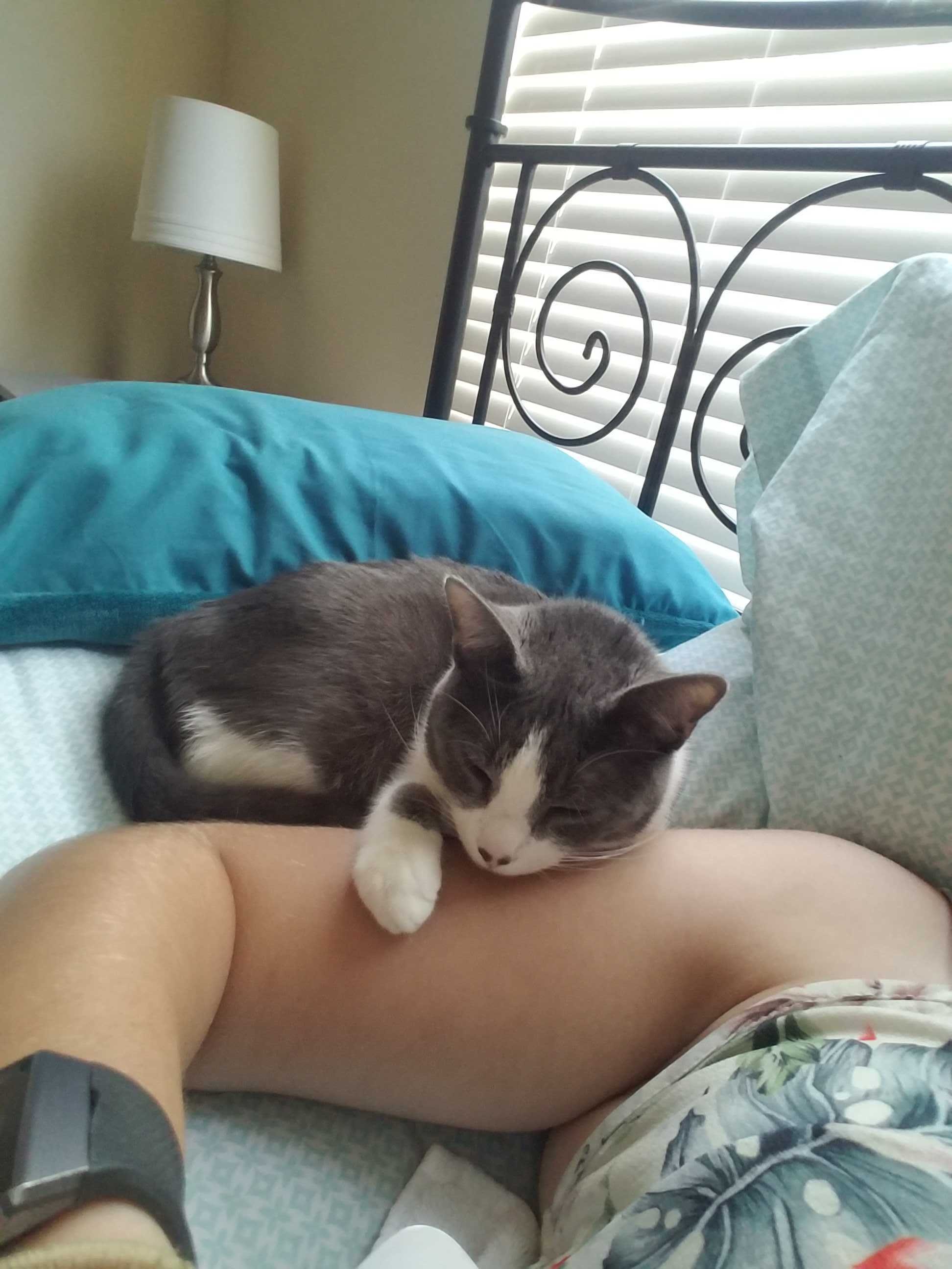 JessMan43371907's profile picture. Coding