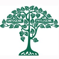 Phyletisches Museum (@phylmuseum) 's Twitter Profile