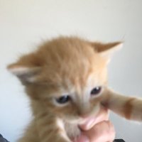 sylvie, (@sylvia42215) 's Twitter Profile