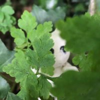 jeff (@jeffoctober) 's Twitter Profile Photo