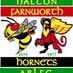 Halton Farnworth Hornets (@hfharl) Twitter profile photo