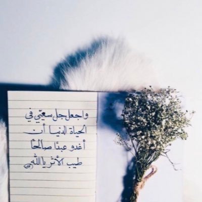 ﴿ يأتي بها الله إن الله لطيفٌ خبير ﴾