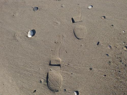 Vossiss's profile picture. nicht ärgern, nur wundern...