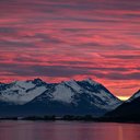 Jen Andersen - @CanadianJen44 - Twitter