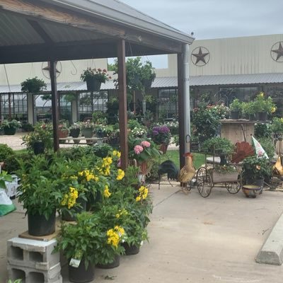 Spring Creek Nursery in Collinsville Tx. Perfect place for flowers trees and shrubs