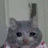 Arhona6's profile picture. Горжусь своей Родиной.