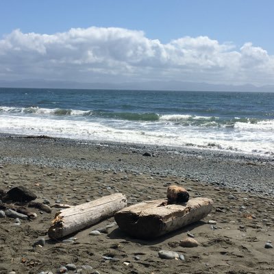 ritabedwell's profile picture. 