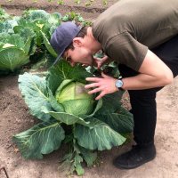 JP Fetherston (@jpfetherston) 's Twitter Profile