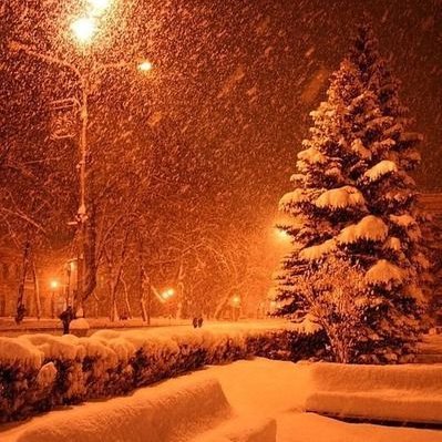 Carolyn35180205's profile picture. Live in the moment and stay observant.