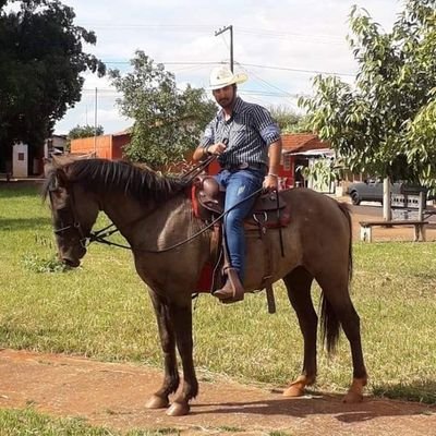 forzer_rander's profile picture. Obrigado