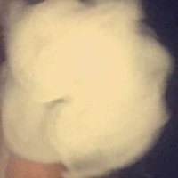 jakelancer19 (@jakelancer19) 's Twitter Profile