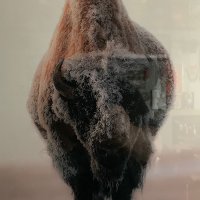 Tim White (@lnwolf318) 's Twitter Profile