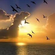 tSCoMLUSFdEVISy's profile picture. القصيم