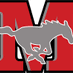 Stangs (@stangs024) Twitter profile photo Stangs (@stangs024) Twitter profile photo
