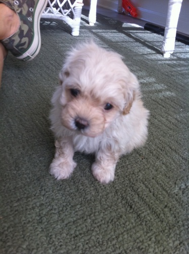 stevenbschwartz's profile picture. 