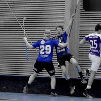 Sirius Herr Junior (@siriusherrjun) 's Twitter Profile