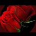 بنت التويجري (@220n) Twitter profile photo بنت التويجري (@220n) Twitter profile photo