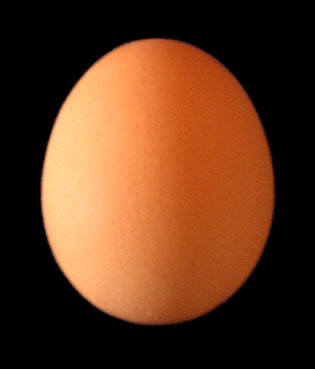 modamanos's profile picture. Pronto, en tus manos, un mundo de moda.