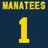 flagmanatees's profile image