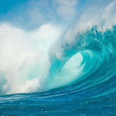 Awake_36950385's profile picture. * Protect the Children 🕊️🕊️🕊️ * Protect The Animals 🐾 * Speak Your Truth * Christ * WalkedAway  ❇️ 
*  FEEL * THINK * LOVE  * I💚Q * . ,^ ` °~ *