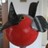 friedott's profile image