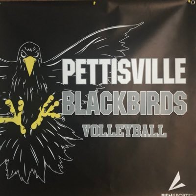 Pettisville Vball