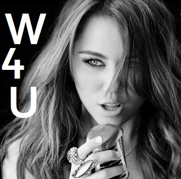 webs4you's profile picture. O conhecimento é irresistível...