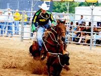 My name is Josh Peek and I am a professional tie-down roper & steer wrestler. I have an amazing wife & beautiful twins! Find me on Facebook & Instagram too!