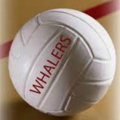 New Bedford High School Girls' Volleyball Updates and News.