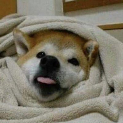 cscn4mXDwTFxTne's profile picture. ゆゆまるです！