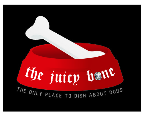 thejuicybone's profile picture. Come check out our community for dog lovers!