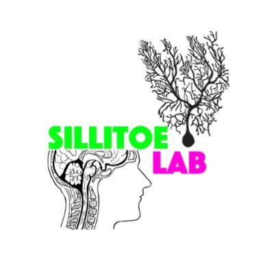 SillitoeLab Profile Picture