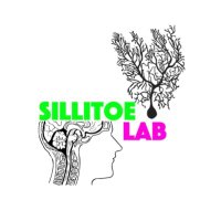 Sillitoe Lab (@sillitoelab) 's Twitter Profile