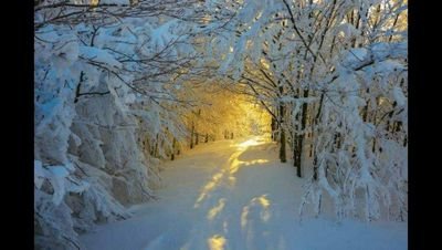 CL_TRADE's profile picture. Prlvate Trader