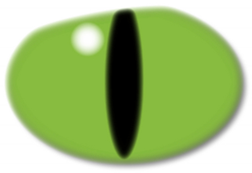 norafilms's profile picture. Nora Films, productora y distribuidora audiovisual creada en Málaga en 2.010, aprendiendo sobre Marketing 2.0