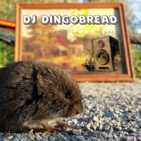 DJ Dingobread🦔🍞 (@ddingobread) 's Twitter Profile